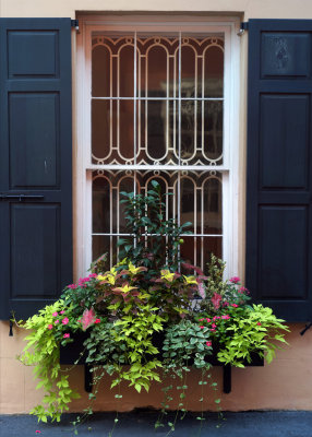 1024 Window box.jpg