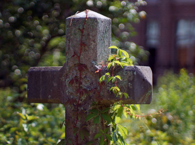 1024DSC01327.jpg