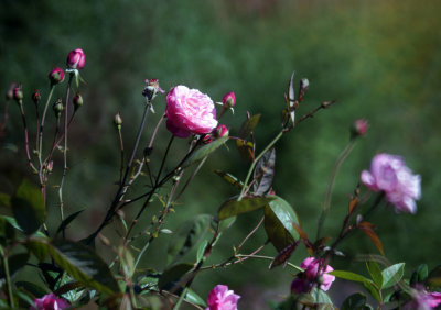 1024DSC02724.jpg
