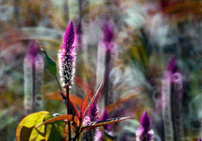 1024DSC02975.jpg