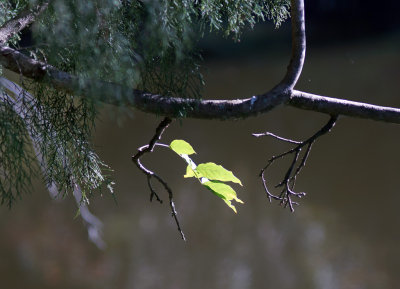 1024DSC03943.jpg