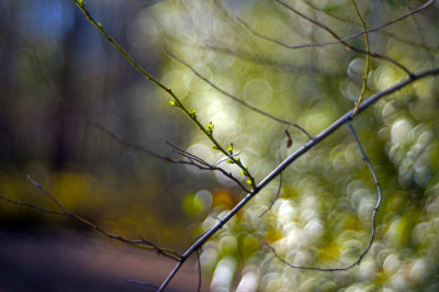 1024DSC05264.jpg