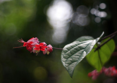 1024DSC05456a.jpg