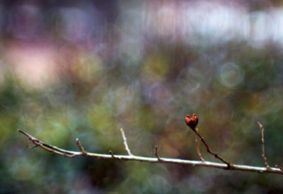 1024DSC05669.jpg