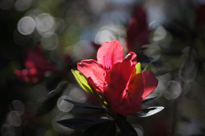 1024DSC07285.jpg