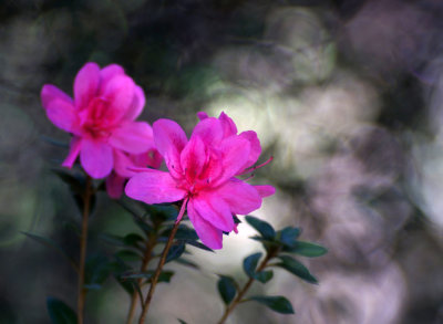 1024DSC08198.jpg