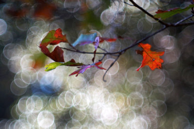 1024DSC08644a.jpg