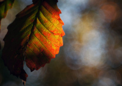 1024DSC08670.jpg