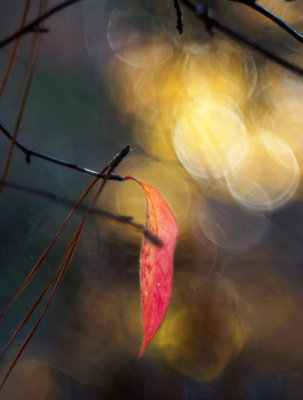 1024DSC08671.jpg