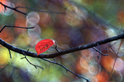 1024DSC08673.jpg