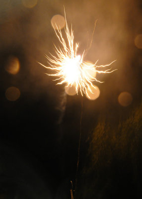 g9/53/887053/3/151211425.zCpvu2hN.jpg