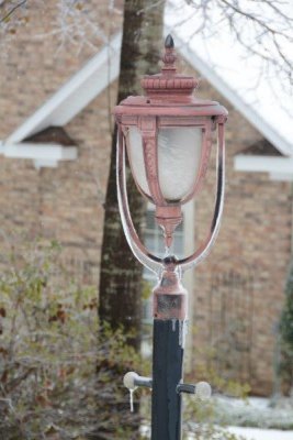 Beauty - lamp post
