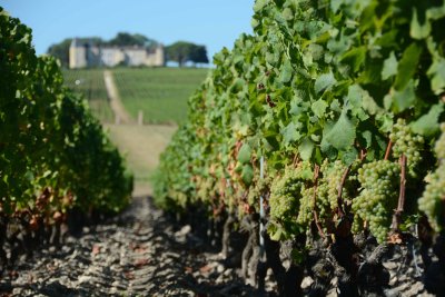 Chateau d'Yquem