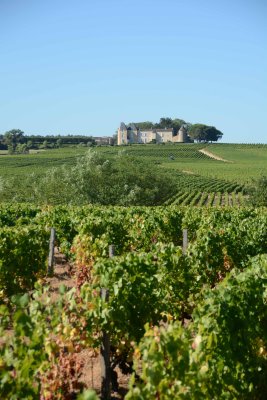 Chateau d'Yquem, Sauternes