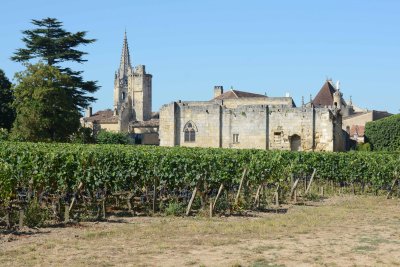 At Chateau Villemaurine, St Emilion