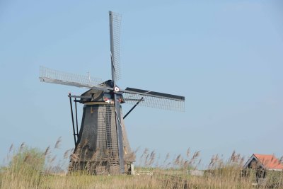 Kinderdijk