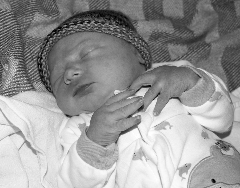 pb08-24-14-0535.jpg