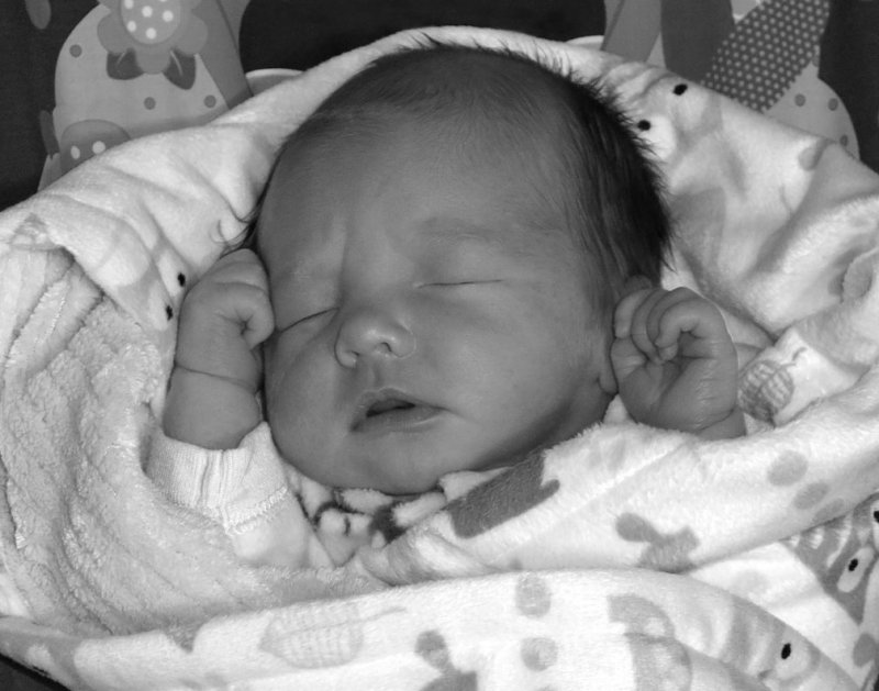 pb02-07-15-016.jpg