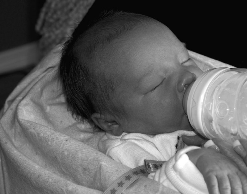 pb02-15-15-012.jpg