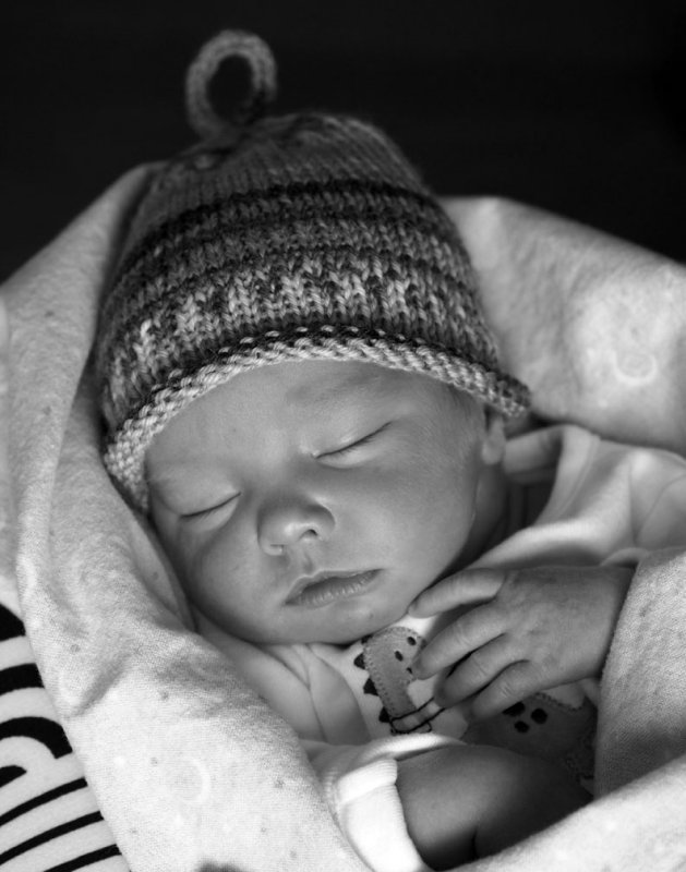 pb02-15-15-092.jpg
