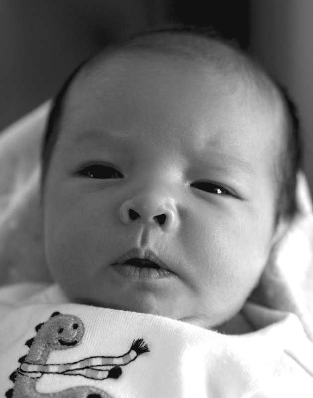 pb02-15-15-120.jpg