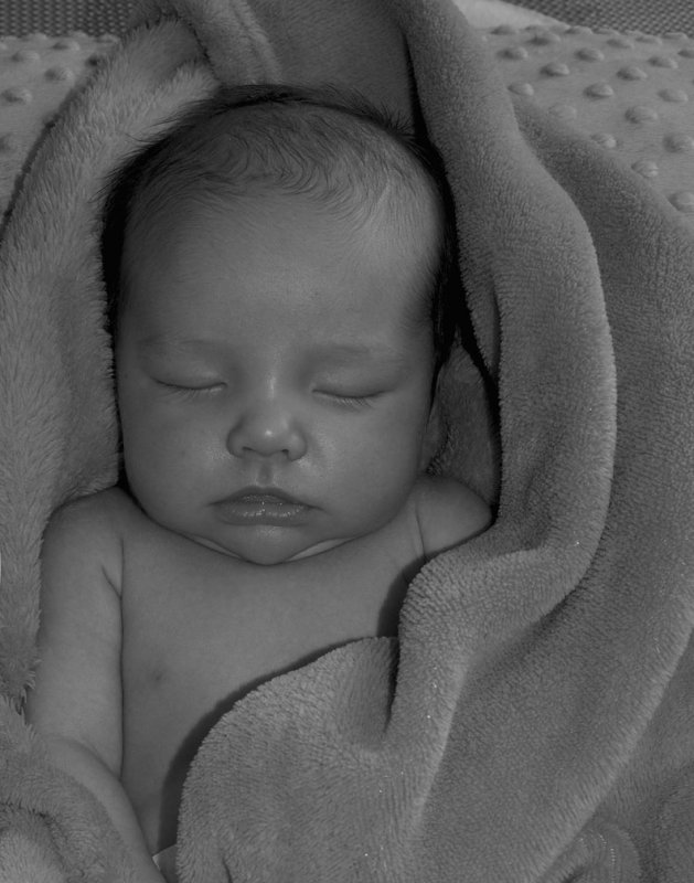 pb03-07-15-054.jpg