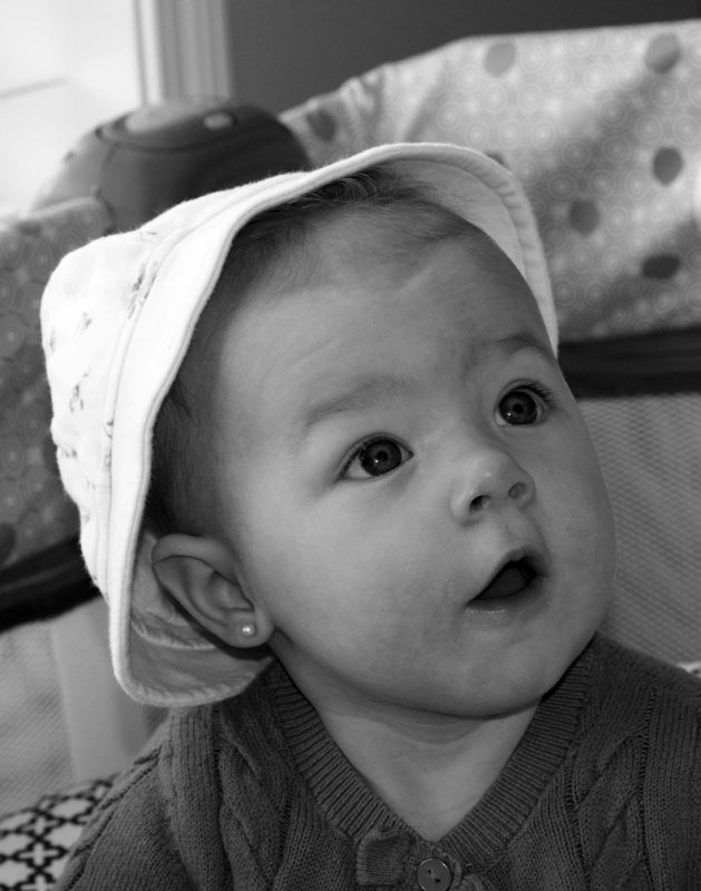 pb03-20-15-072.jpg