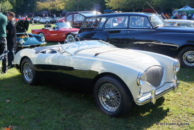 1956 Austin Healy 100M