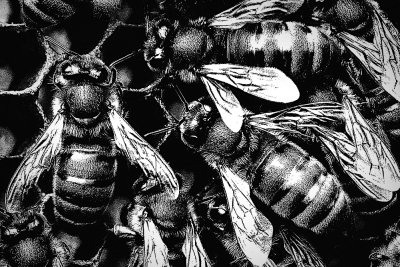 the hive (faux woodcut print)...