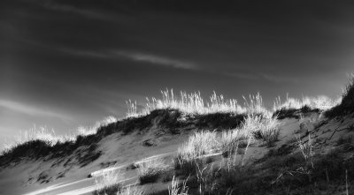 late afternoon dunes...