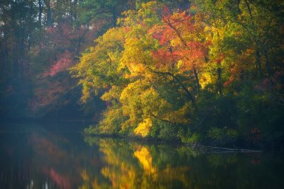 gentle fall colors...