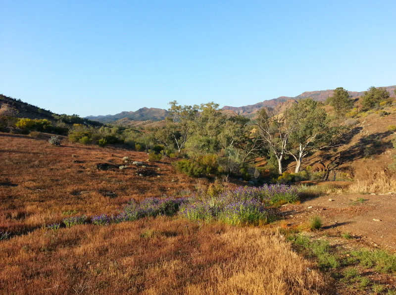 20140927_072159.jpg