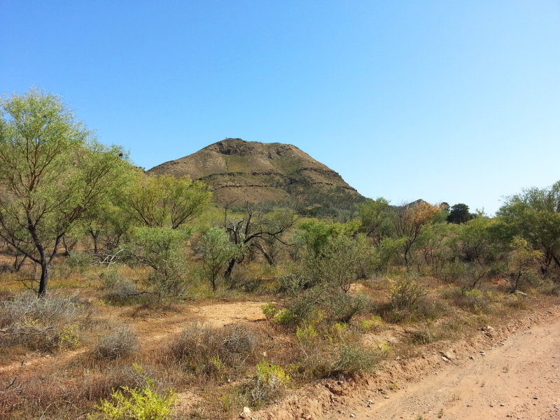 20140927_094620.jpg