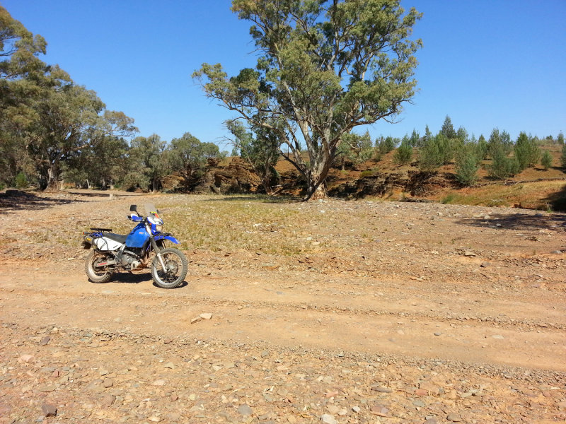 20140927_095521.jpg