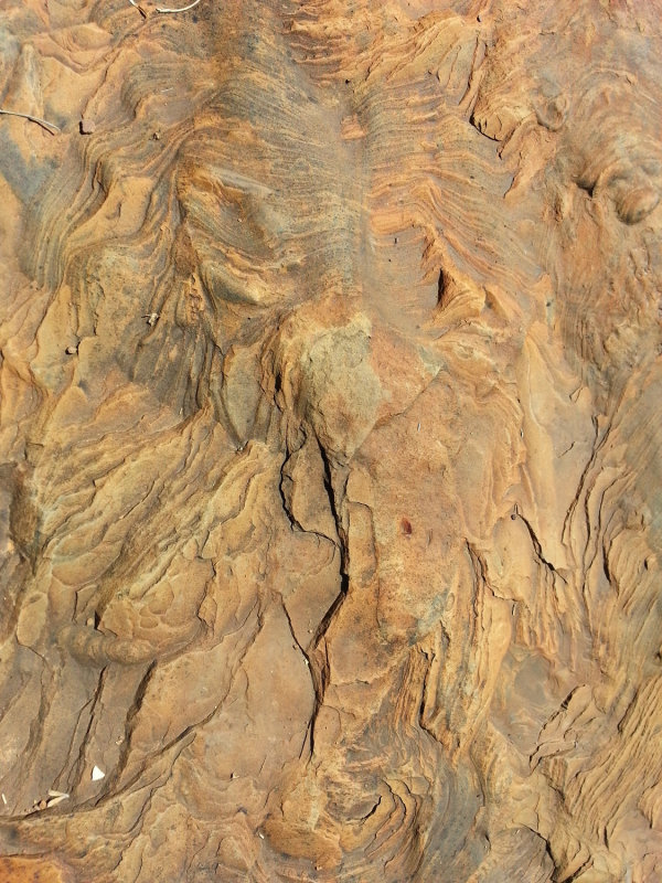 20140927_105111.jpg