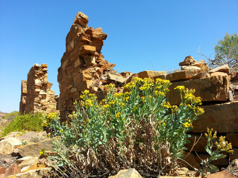 20140927_110035.jpg