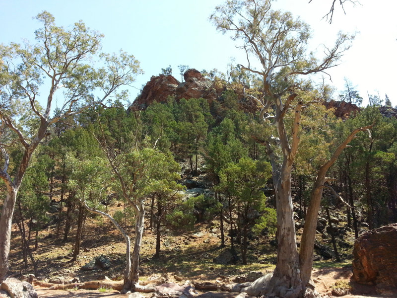 20140927_121347.jpg