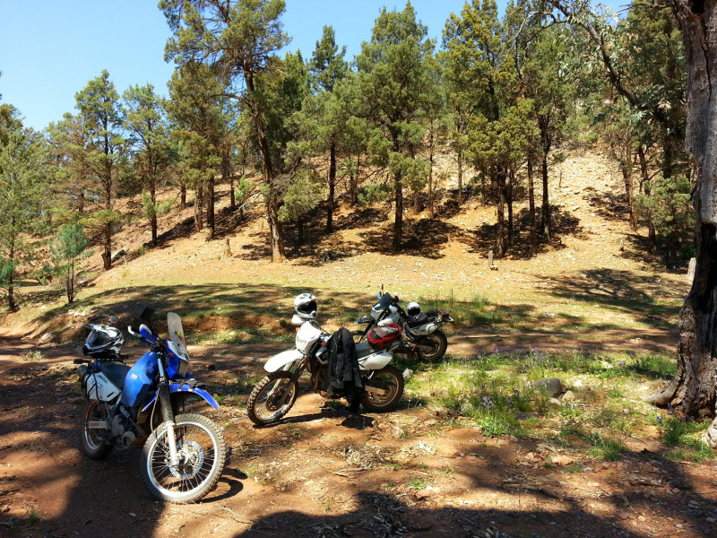 20140927_121609.jpg