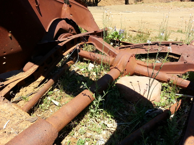20140927_122014.jpg