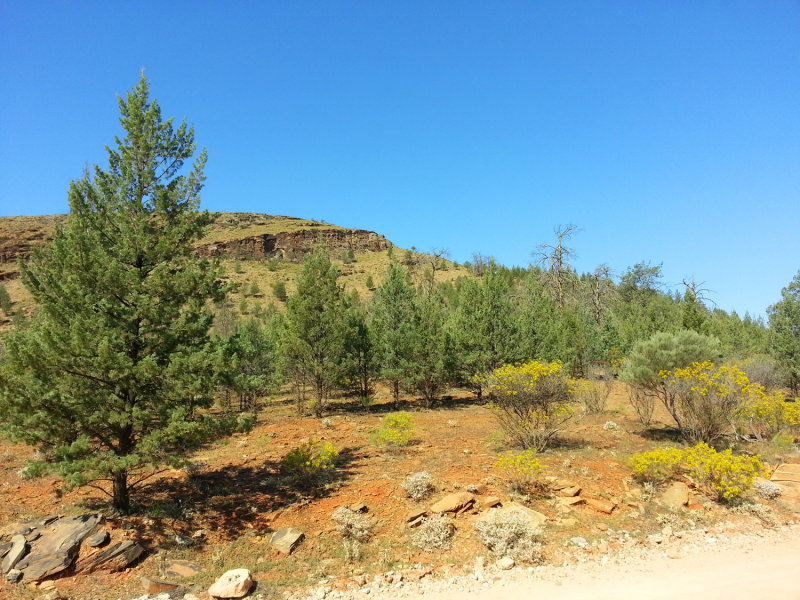 20140927_145705.jpg