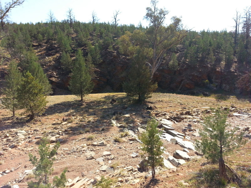 20140927_145716.jpg