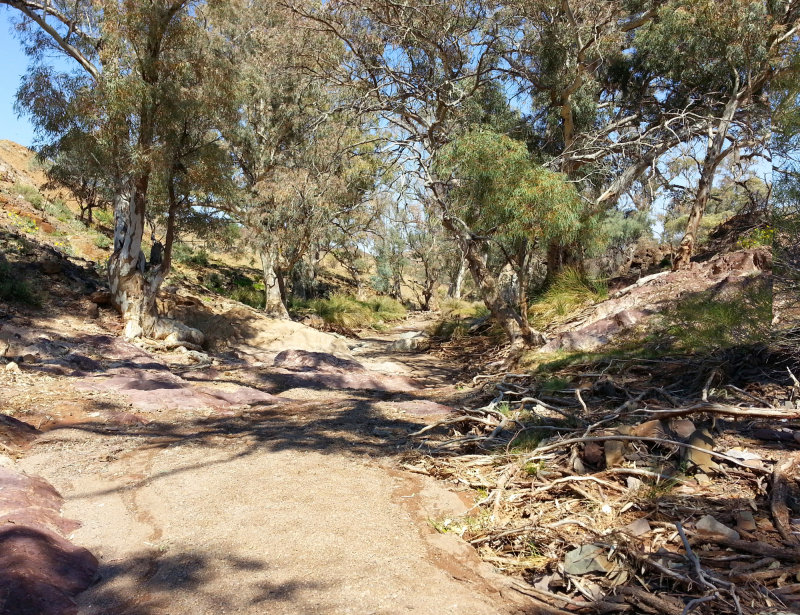 Nuccaleena Creek.jpg