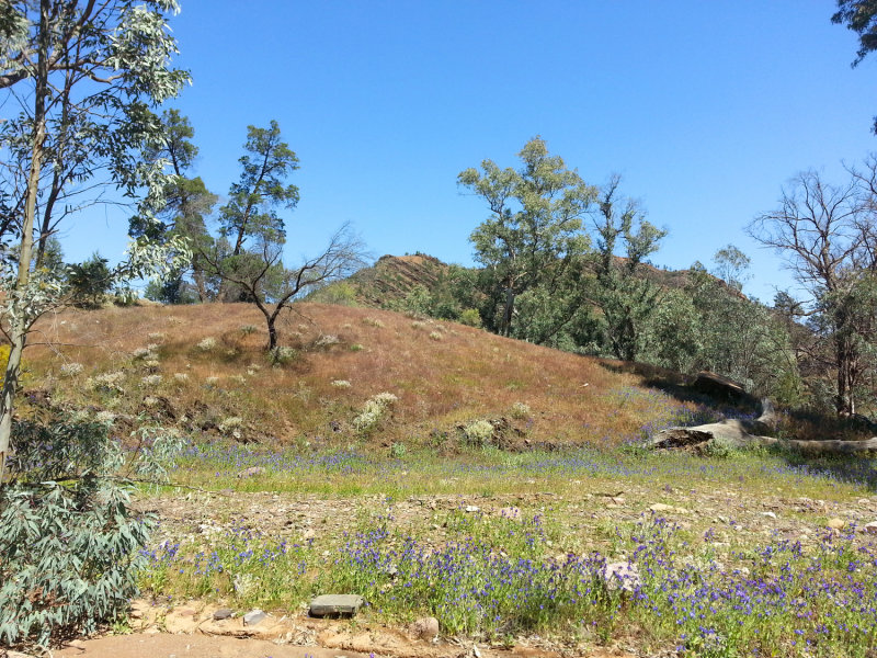 20140928_110814.jpg