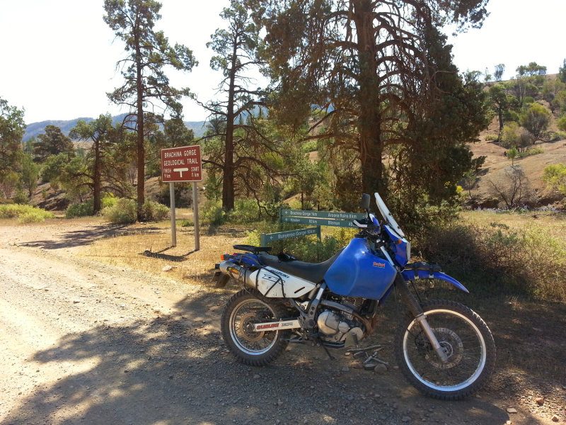 20140928_133909.jpg