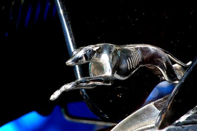 Hood ornament