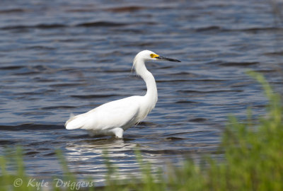  Quivira NWR