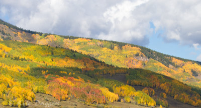 Fall Colors in the Rockies