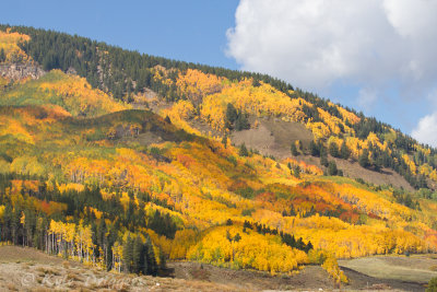 Fall Colors in the Rockies