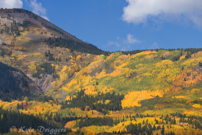 Fall Colors in the Rockies