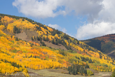 Fall Colors in the Rockies